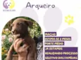 Arqueiro