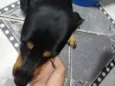 não sei