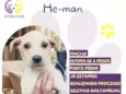 He-man