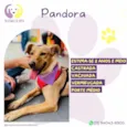 Pandora