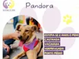 Pandora