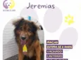 Jeremias