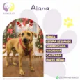 Alana