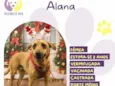Alana