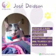 José Deidson