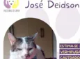 José Deidson