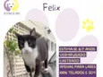 Felix