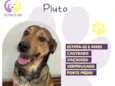 Pluto