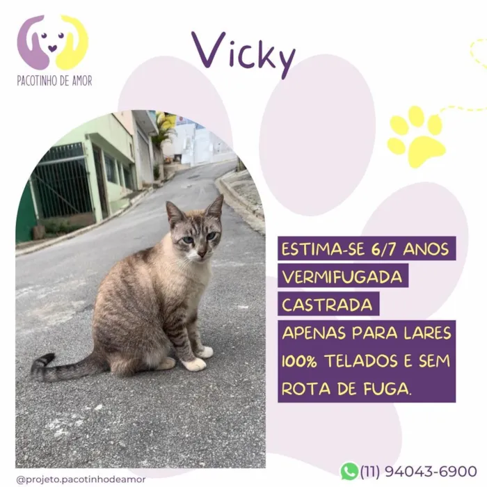Gato raça SRD-ViraLata idade 6 ou mais anos nome Vicky