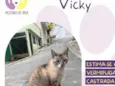 Vicky