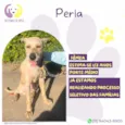 Perla