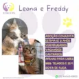 Leona e freddy 