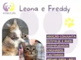 Leona e freddy