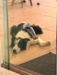 Lua