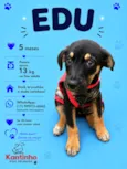 Edu