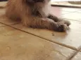 lucky