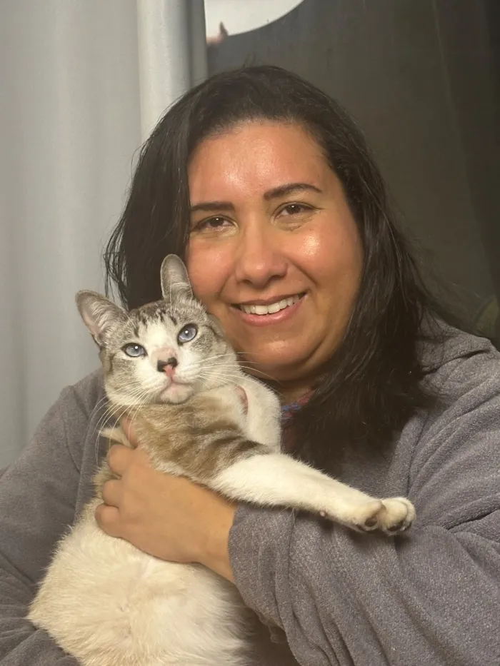 Gato raça SRD-ViraLata idade 1 ano nome Chico
