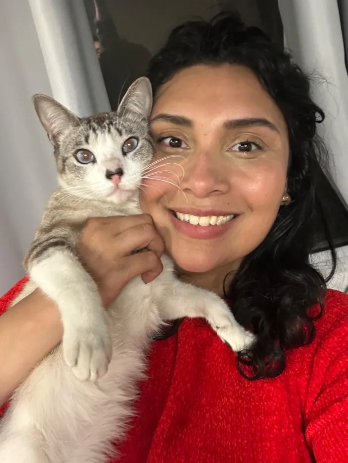 Gato raça SRD-ViraLata idade 1 ano nome Chico