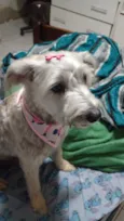 Lola