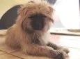lucky