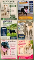 Pingo,Oton,Pérola,Leide, Luci e Icaro