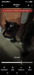 Lolita