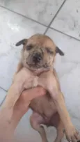 Para doar
