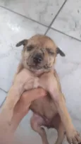 para doar
