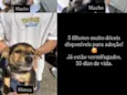 Não tem nome ainda