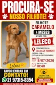 Leleco