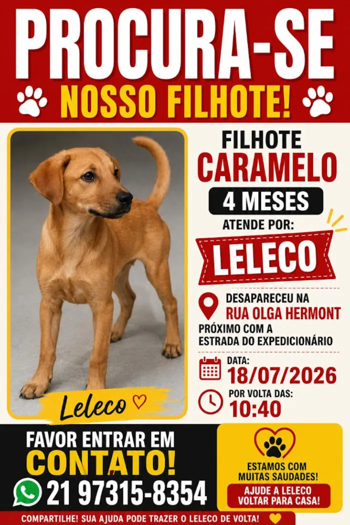 Cachorro raça SRD-ViraLata idade 2 a 6 meses nome Leleco