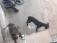 não tem nome 