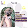 Atlas
