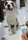 Cronos