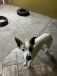 Frederico