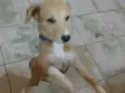 Nina