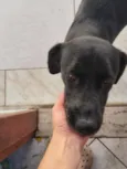 Zoe e Mocha