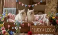 Lucy e Leo 