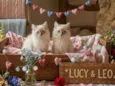 Lucy e Leo 