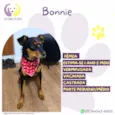 Bonnie