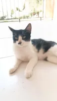 Mimi