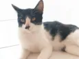 Mimi