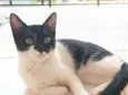 Lila