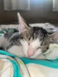 Théo