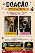 Rosinha e espelhinho 
