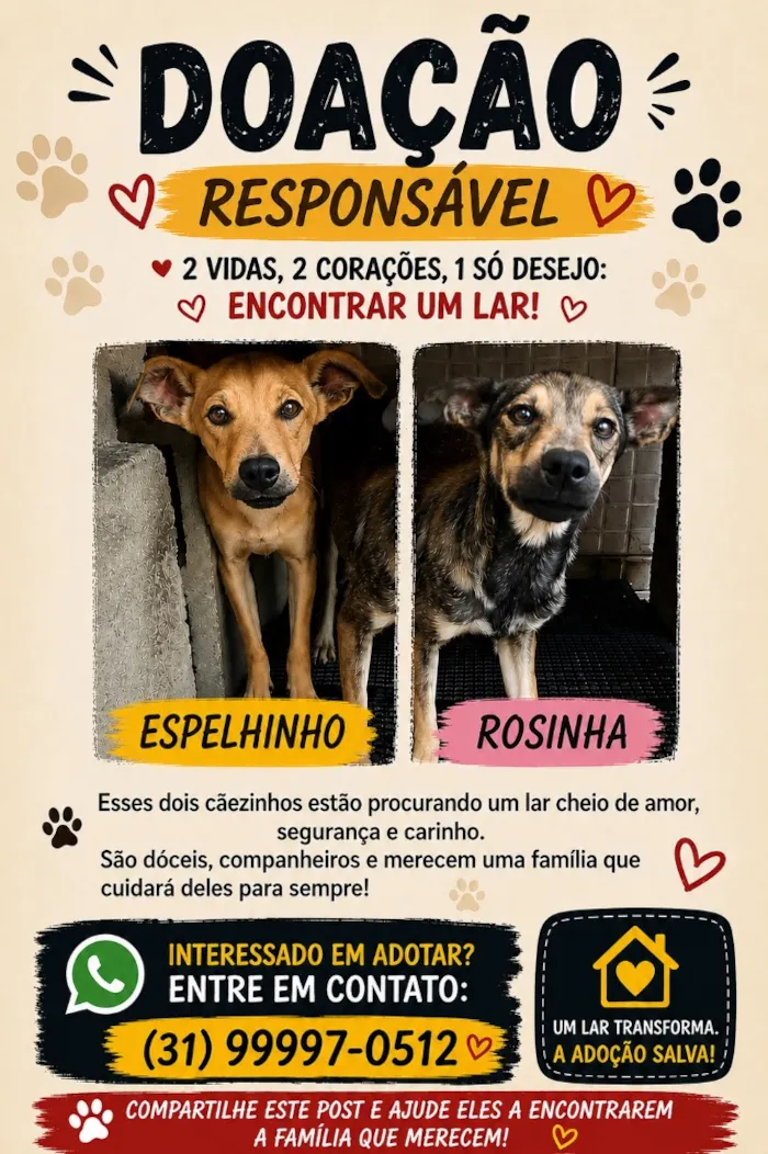 Cachorro raça SRD-ViraLata idade 2 a 6 meses nome Rosinha e espelhinho 
