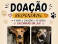 Rosinha e espelhinho