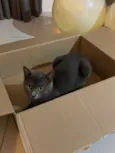 Francisco