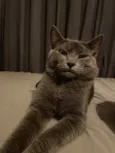 Francisco