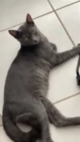 Francisco